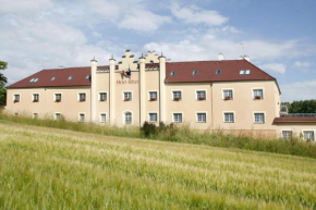 Гостиница Hotel Allvet  Дрновице